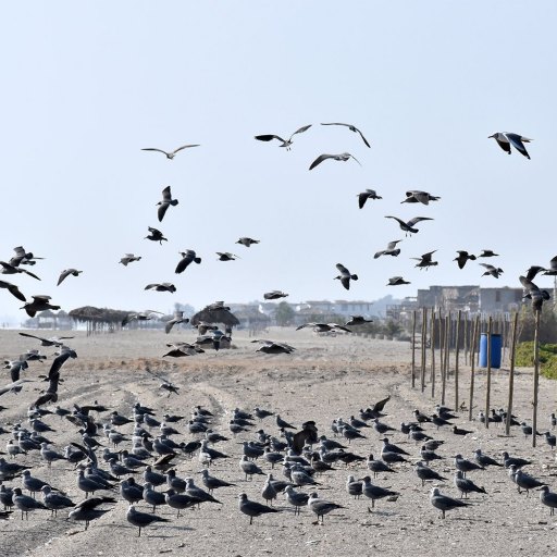 Condominio Playa del Carmen