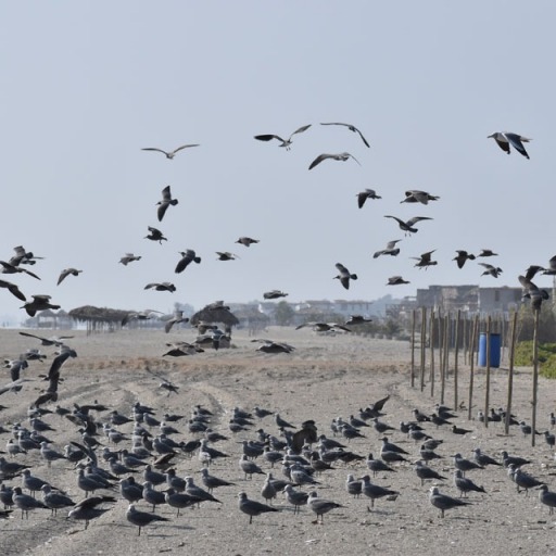 Condominio Playa del Carmen